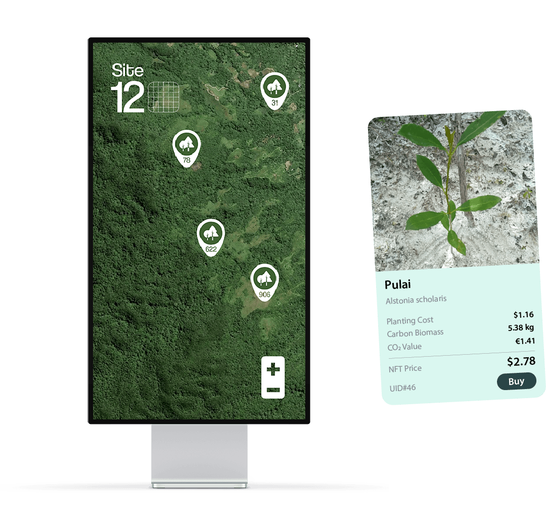 Step 1 - Visual proof