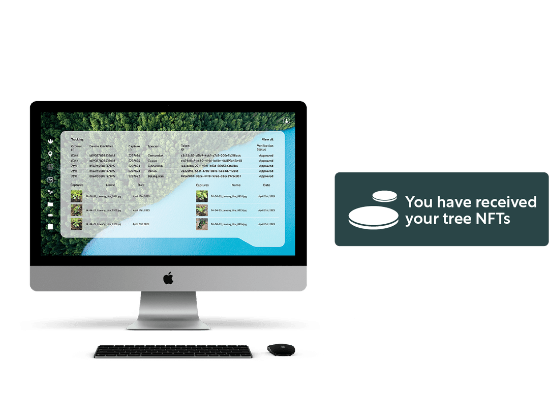 Step 3 - Tree Verification